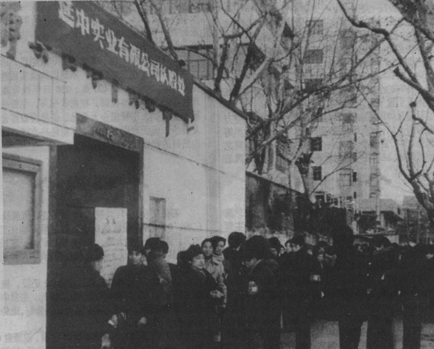 圖片1.png 圖片1.png