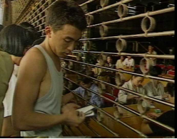 震驚全球:本想賣表賺錢結(jié)果發(fā)生8·10 風(fēng)波314.png 震驚全球:本想賣表賺錢結(jié)果發(fā)生8·10 風(fēng)波314.png